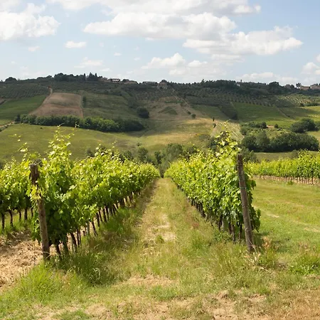 Vittoria Chianti Vacations Apartment