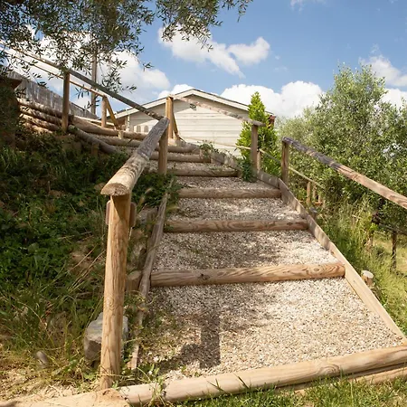 Vittoria Chianti Vacations